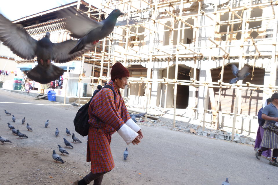 Photo of TinTin in the Land of the Thunder Dragon by Hameed Fazal