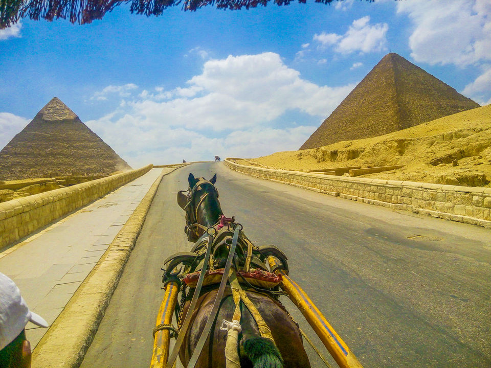 Photo of Cairo, Cairo Governorate, Egypt by Navs
