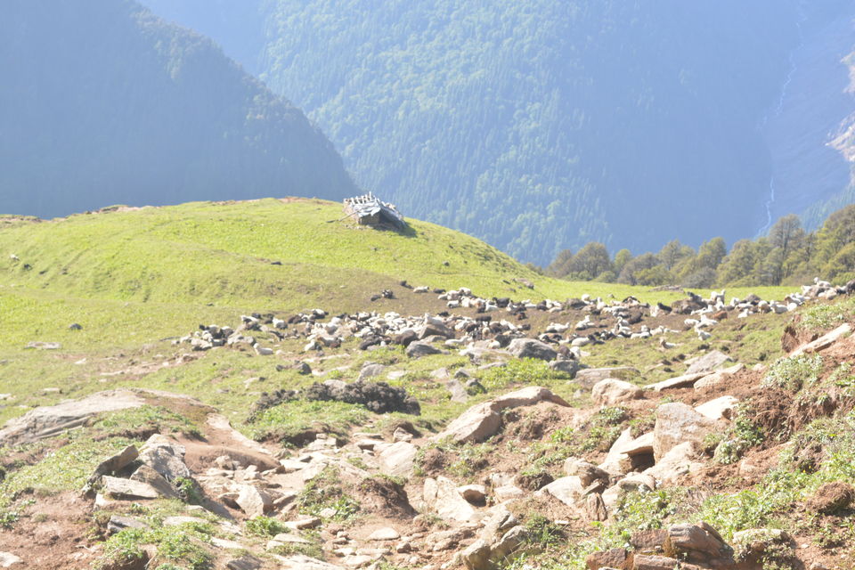 Photo of PanchKedar.. (A complete Kedar Pilgrimage) 10/23 by Navs