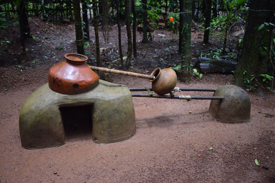 Photo of Tropical Spice Plantation, Ponda, Goa, India by theboywithabackpack