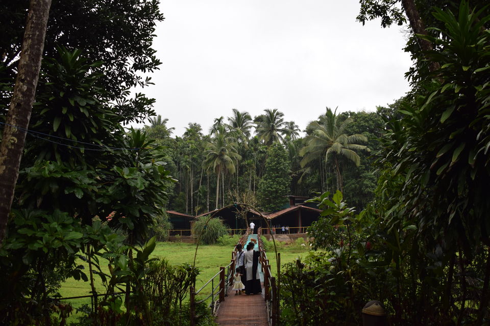Photo of Day trip to Tropical Spice Plantation, Goa and Fort Aguada 2/2 by theboywithabackpack