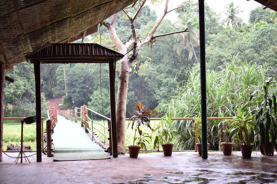 Photo of Day trip to Tropical Spice Plantation, Goa and Fort Aguada by theboywithabackpack