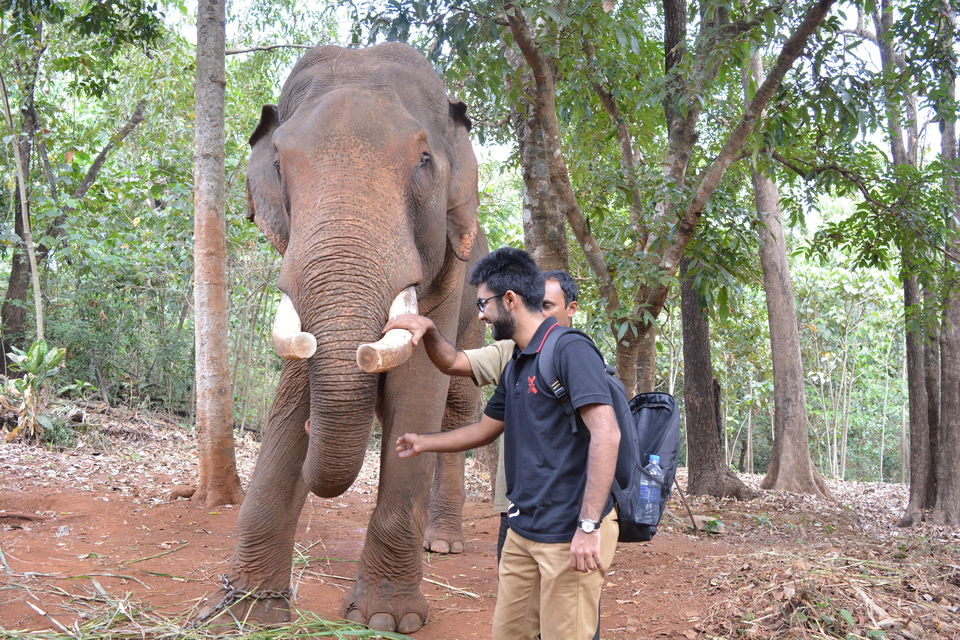 Photo of Bondla Zoo, Usgao-Ganjem VP, Goa, India by theboywithabackpack