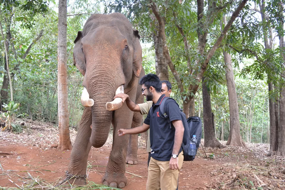 Photo of Bondla Zoo, Usgao-Ganjem VP, Goa, India by theboywithabackpack