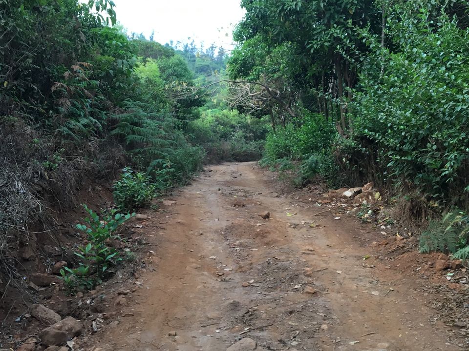Photo of King's Cottage, Coorg, Karnataka, India by theboywithabackpack