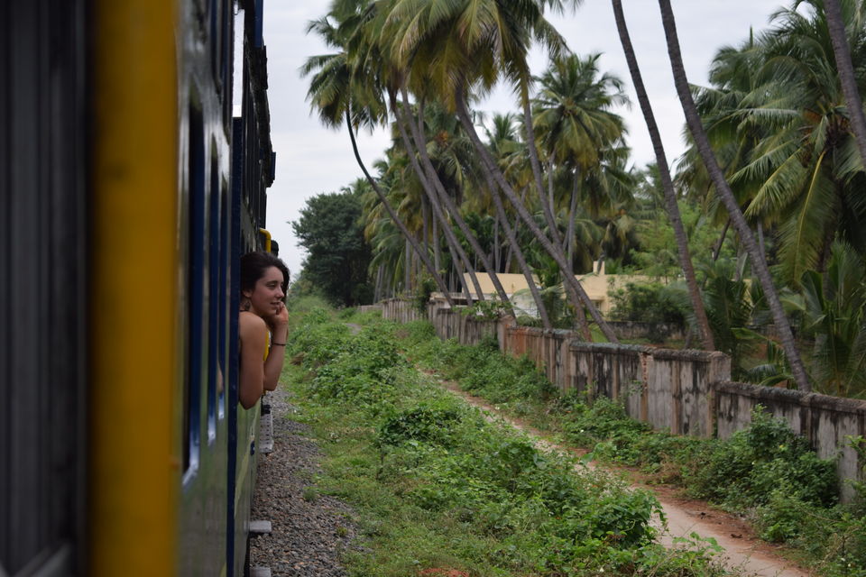 Photo of Nilgiris, Tamil Nadu, India by theboywithabackpack