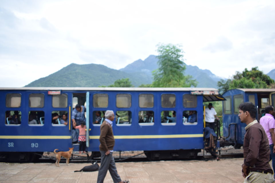 Photo of Nilgiris, Tamil Nadu, India by theboywithabackpack