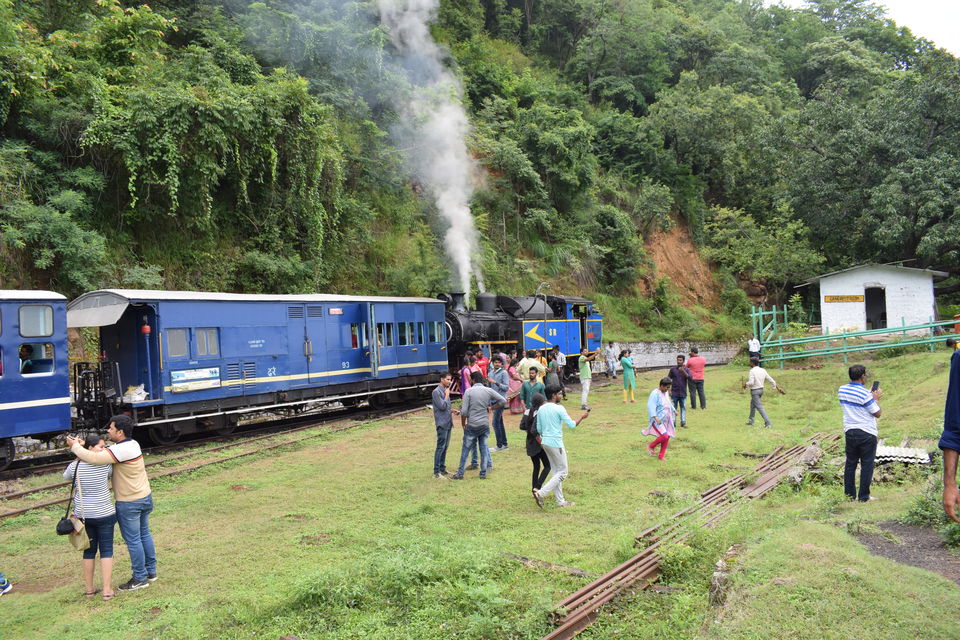Photo of Nilgiris, Tamil Nadu, India by theboywithabackpack