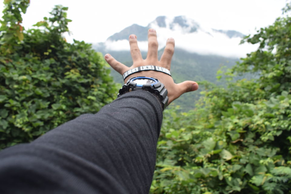 Photo of Nilgiris, Tamil Nadu, India by theboywithabackpack