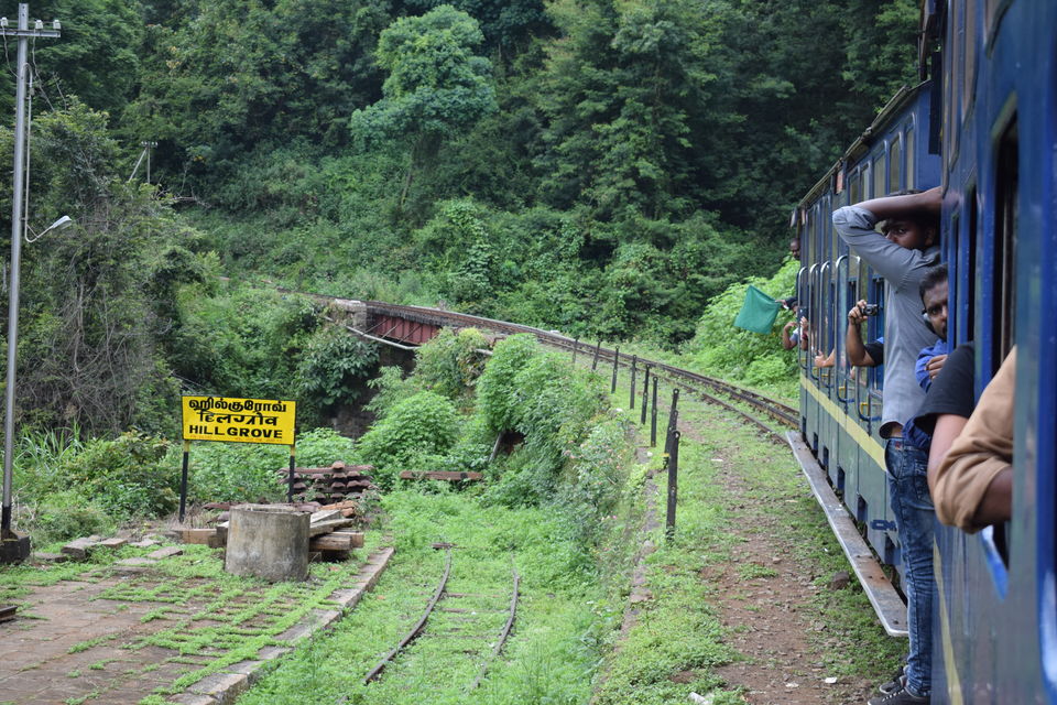 Photo of Nilgiris, Tamil Nadu, India by theboywithabackpack