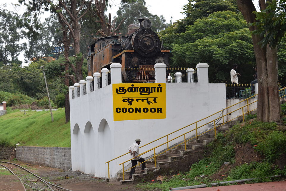 Photo of Nilgiris, Tamil Nadu, India by theboywithabackpack
