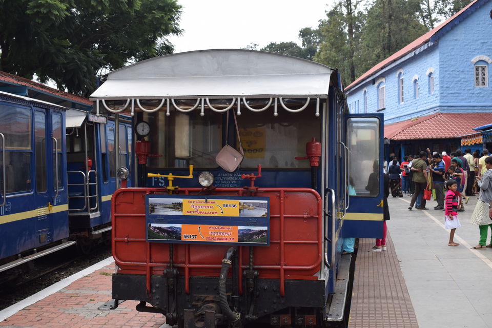 Photo of Nilgiris, Tamil Nadu, India by theboywithabackpack
