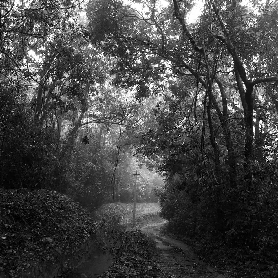 Photo of Agumbe, Karnataka, India by theboywithabackpack