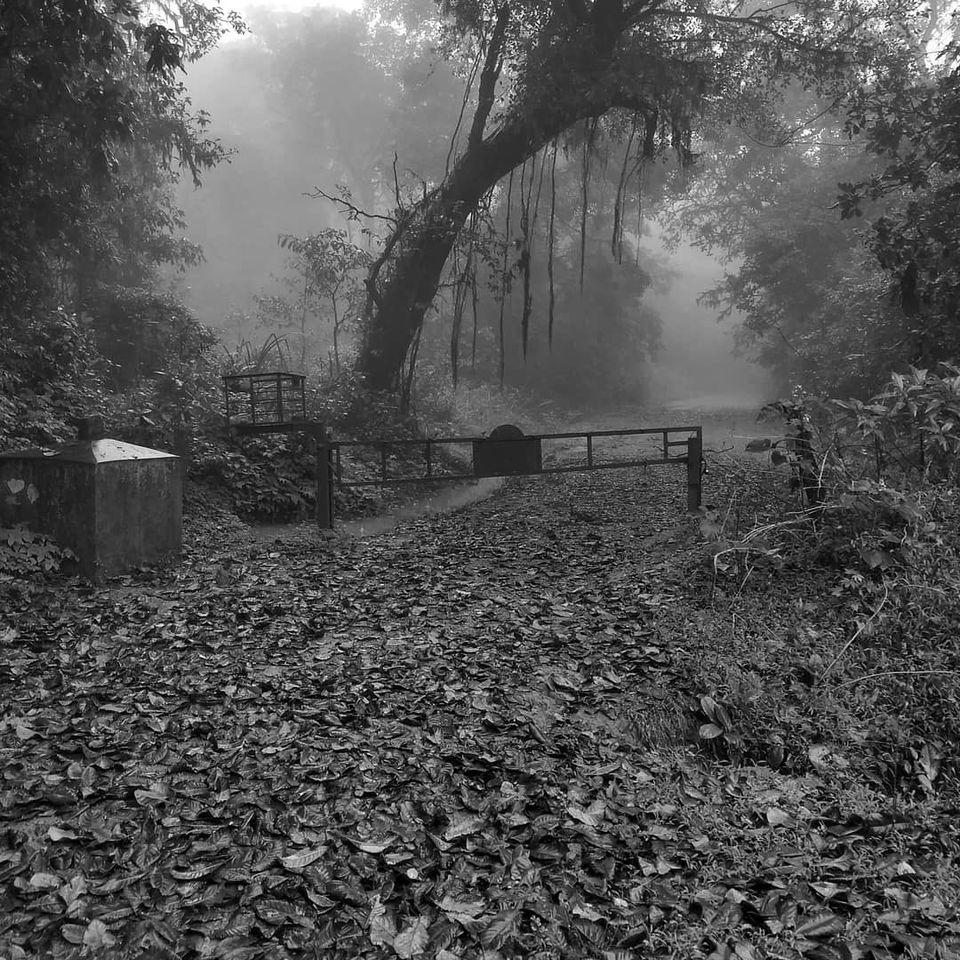 Photo of Agumbe, Karnataka, India by theboywithabackpack