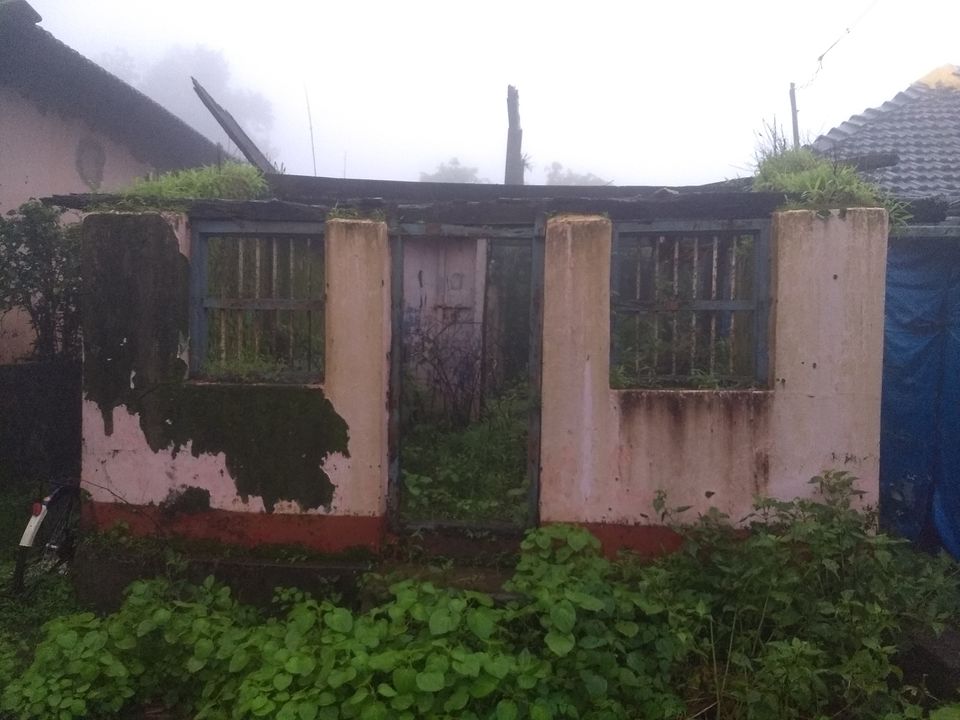 Photo of Agumbe, Karnataka, India by theboywithabackpack