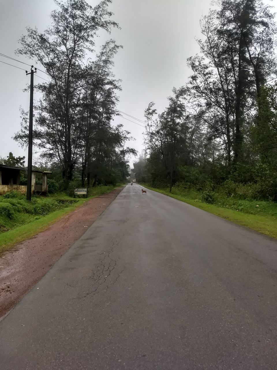 Photo of Agumbe, Karnataka, India by theboywithabackpack
