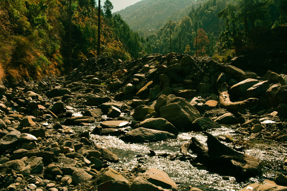 Photo of A TREK to 180 degree VIEW of greater HIMALAYAS! 2/17 by Tusharika Kumar