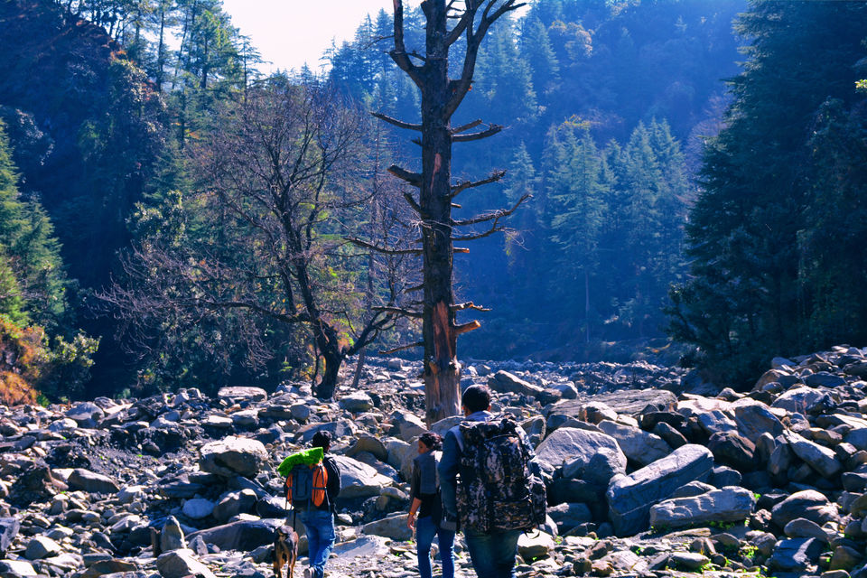 Photo of A TREK to 180 degree VIEW of greater HIMALAYAS! 3/17 by Tusharika Kumar