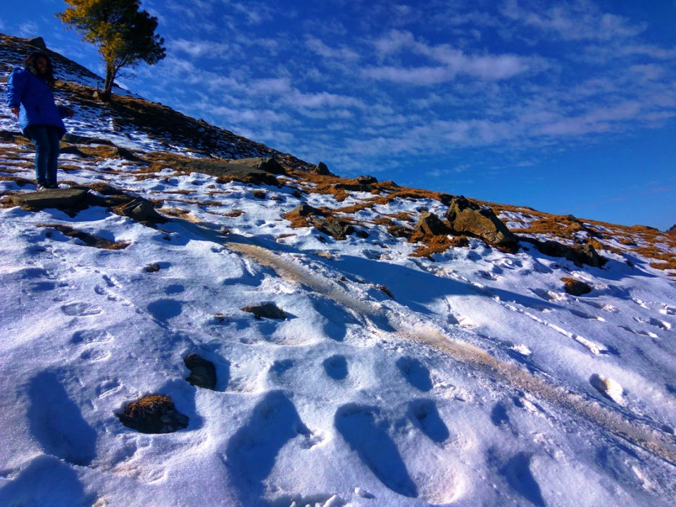 Photo of A TREK to 180 degree VIEW of greater HIMALAYAS! 7/17 by Tusharika Kumar