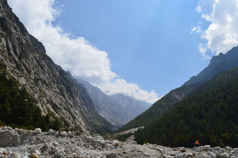Photo of Bhojbasa, Uttarkashi, Uttarakhand, India by Biswanath banerjee