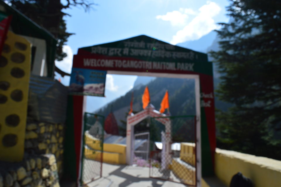 Photo of Bhojbasa, Uttarkashi, Uttarakhand, India by Biswanath banerjee