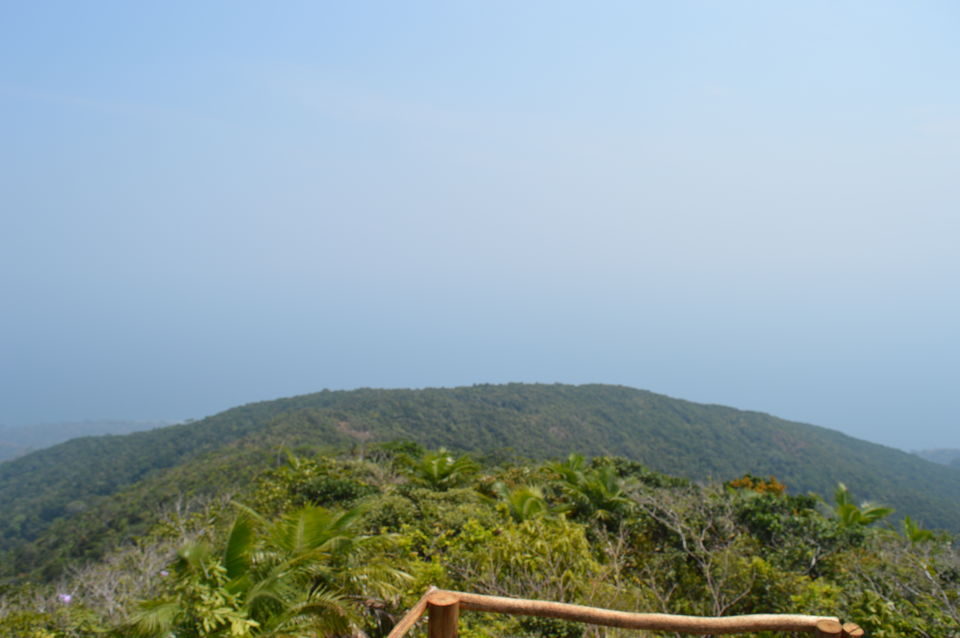 Photo of Saddle Peak, Andaman and Nicobar Islands by Biswanath banerjee