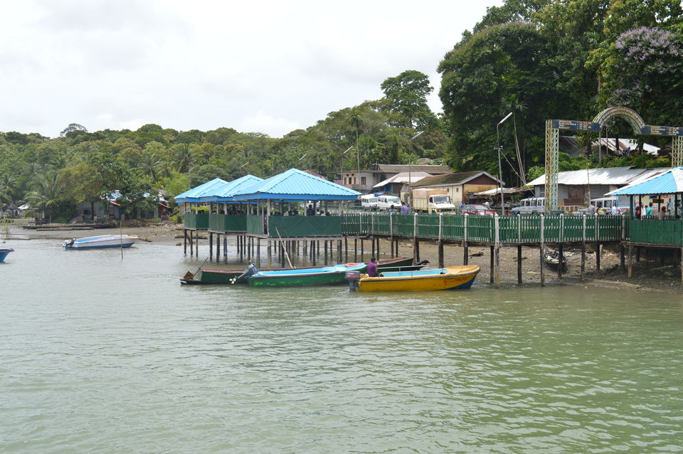 Photo of Baratang, Andaman and Nicobar Islands by Biswanath banerjee