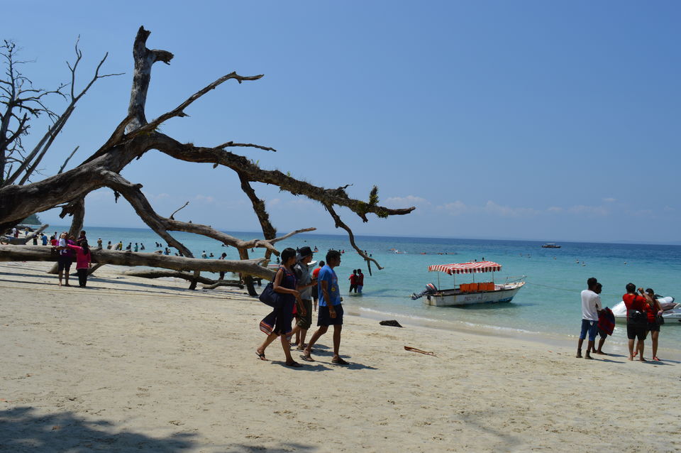 Photo of Kalapathar Beach, Andaman and Nicobar Islands, India by Biswanath banerjee