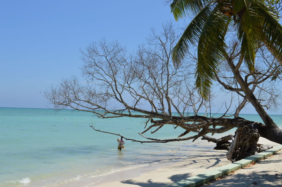 Photo of Kalapathar Beach, Andaman and Nicobar Islands, India by Biswanath banerjee