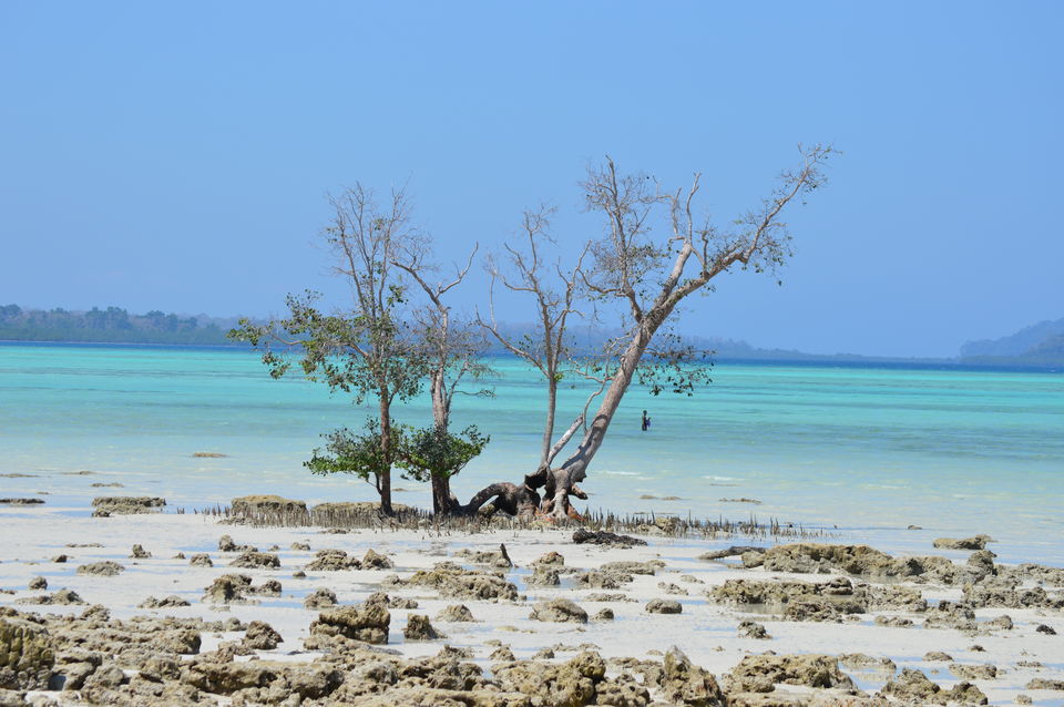 Photo of Kalapathar Beach, Andaman and Nicobar Islands, India by Biswanath banerjee