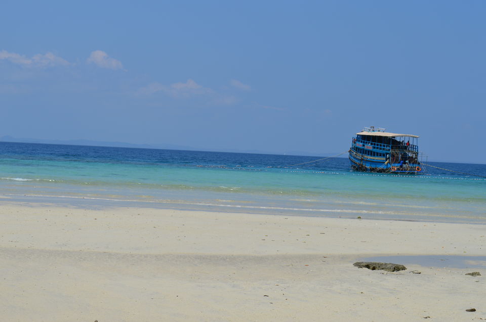 Photo of Diving Deep into the Blues ::Andaman 5/7 by Biswanath banerjee