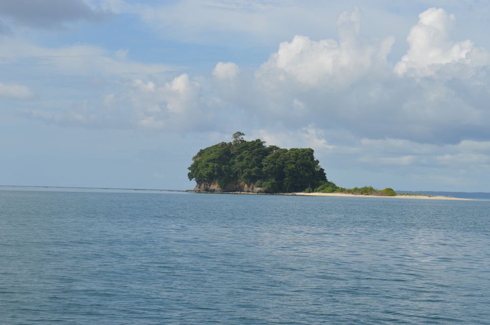 Photo of Diving Deep into the Blues ::Andaman 4/7 by Biswanath banerjee