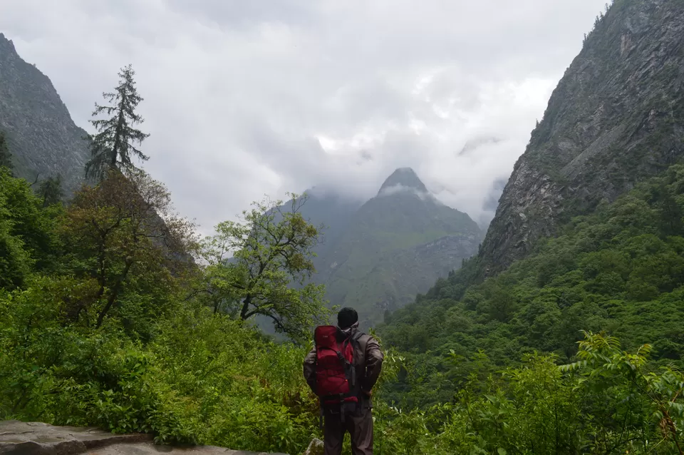Photo of Valley of Flowers National Park, Uttarakhand, India by Biswanath banerjee 
