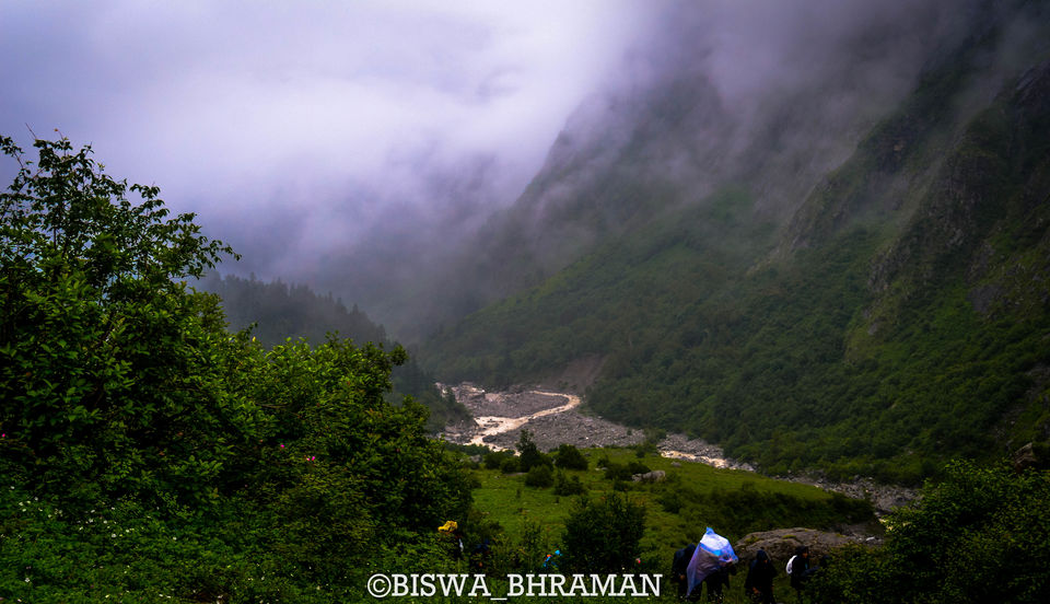 Photo of Knocking the Doors of Heaven:: Valley of Flowers& Hemkund Sahib by Biswanath banerjee