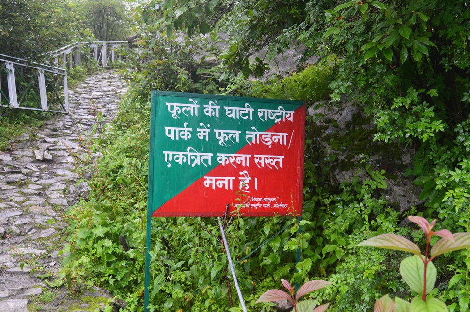 Photo of Knocking the Doors of Heaven:: Valley of Flowers& Hemkund Sahib by Biswanath banerjee