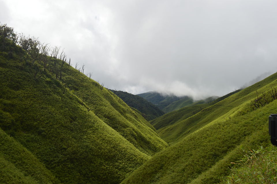 Photo of Dzukou Valley::Wanderer's Wonder by Biswanath banerjee