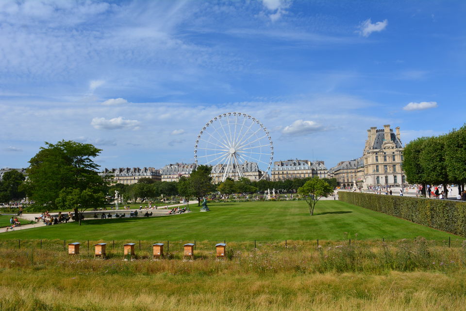 Photo of Tuileries Garden, Place de la Concorde, Paris, France by Biswanath banerjee