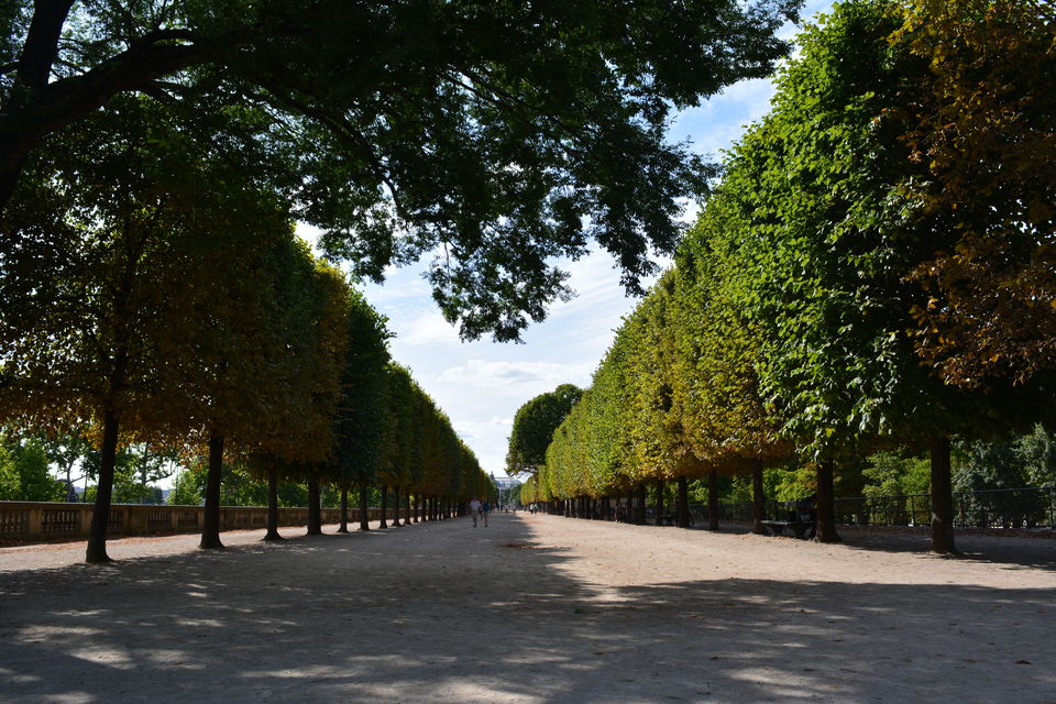 Photo of Tuileries Garden, Place de la Concorde, Paris, France by Biswanath banerjee