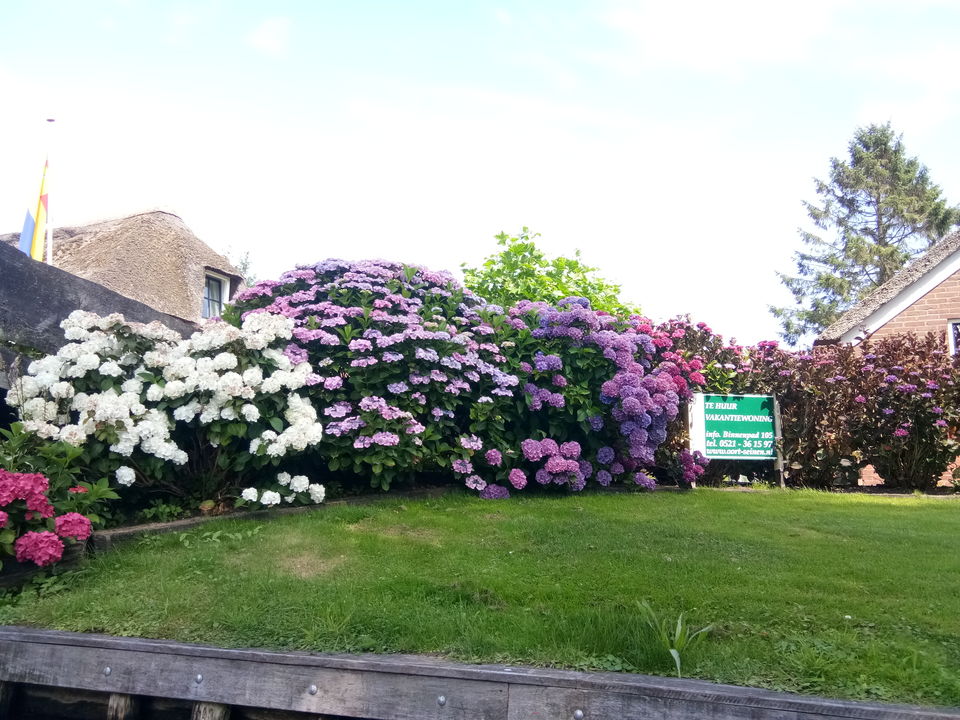 Photo of Eudaimonia in Europe: A Gallivanter's Guide for a Memorable EURO trip by Biswanath banerjee