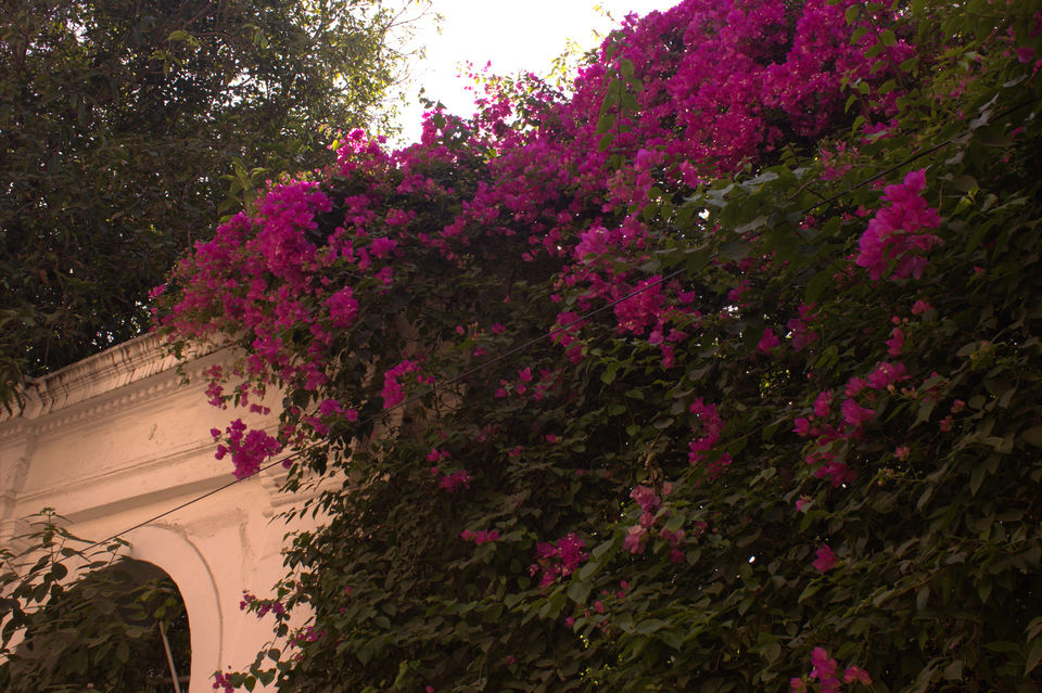 Photo of Pondicherry: Potpourri of Culture&Cuisine by Biswanath banerjee