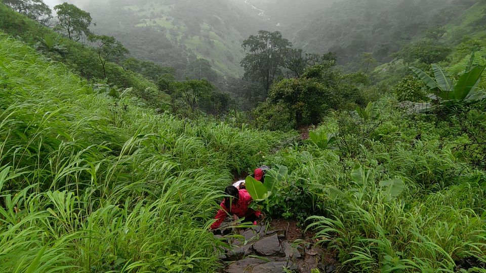 Photo of Thrilling Monsoon Trek To Vikatgad Peb Fort by mugdha.u.d