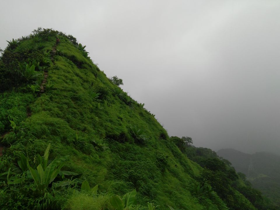 Photo of Thrilling Monsoon Trek To Vikatgad Peb Fort by mugdha.u.d