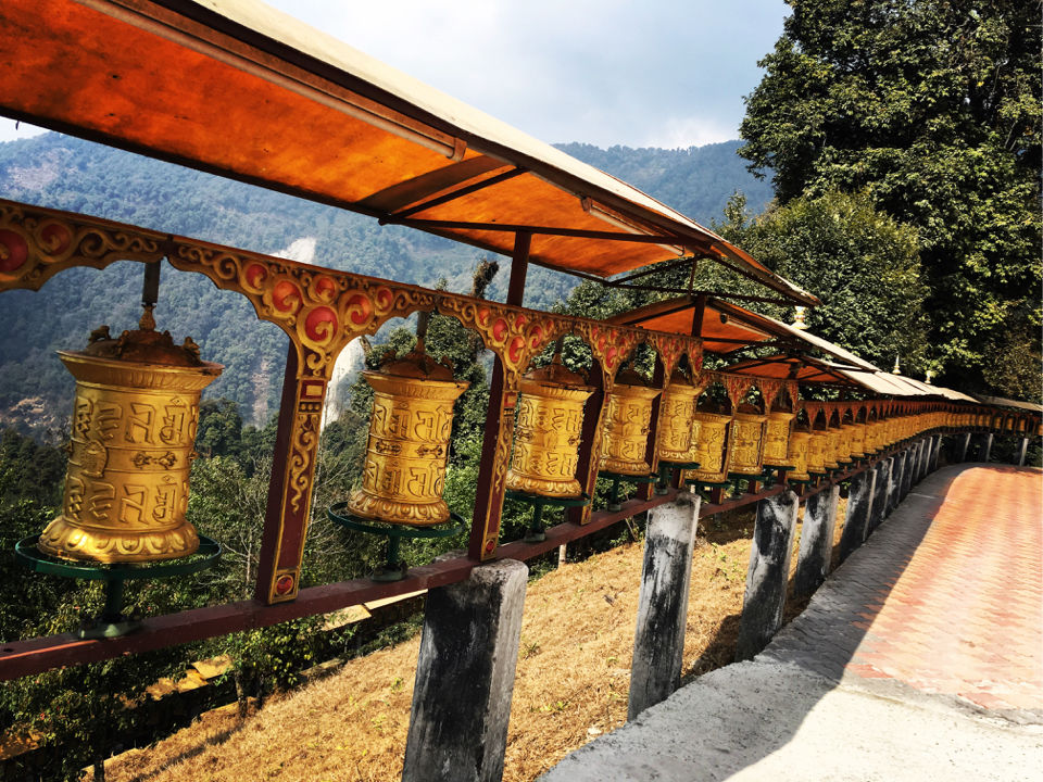 Photo of More Than A Park - Tathagata Tsal by प्रीति सिंग