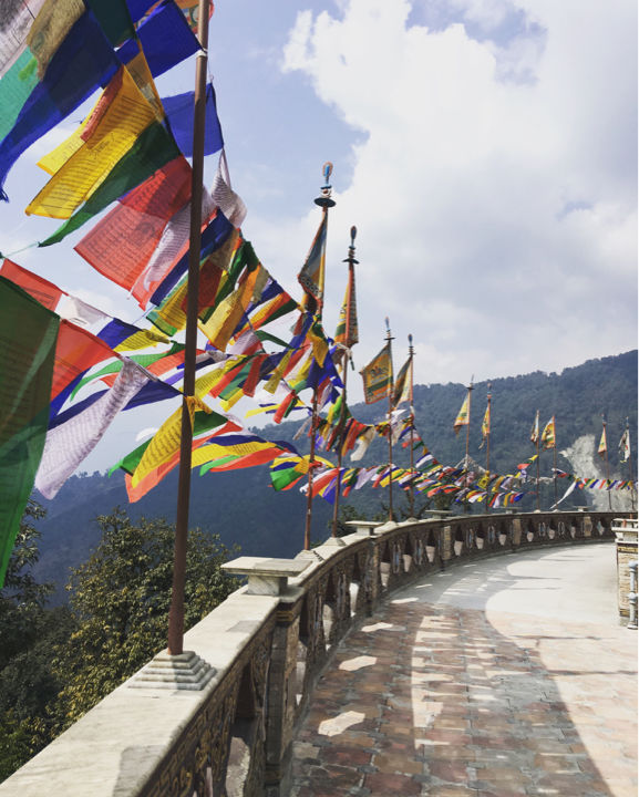 Photo of More Than A Park - Tathagata Tsal by प्रीति सिंग