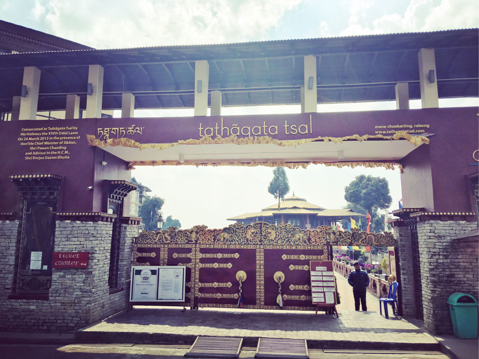 Photo of More Than A Park - Tathagata Tsal by प्रीति सिंग