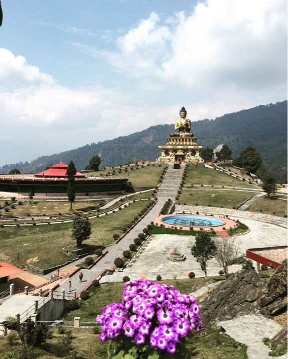 Photo of More Than A Park - Tathagata Tsal by प्रीति सिंग