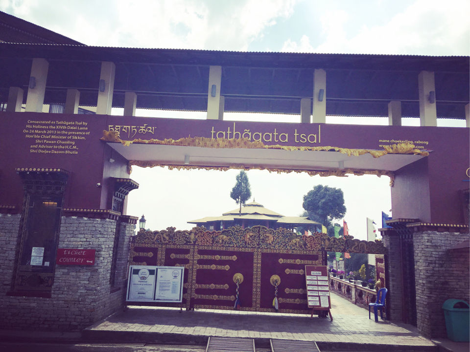 Photo of More Than A Park - Tathagata Tsal by प्रीति सिंग
