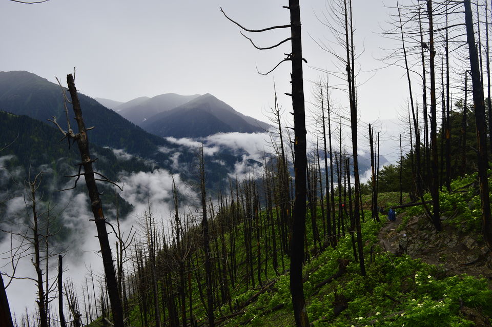Photo of Kashmir great lakes trek - 2015 #BacktoTheMountains by Anindya Das