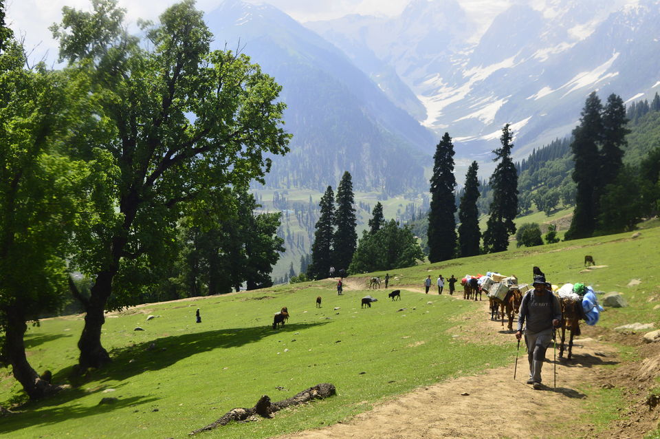 Photo of Kashmir great lakes trek - 2015 #BacktoTheMountains by Anindya Das