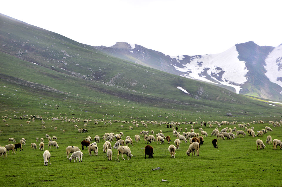 Photo of Kashmir great lakes trek - 2015 #BacktoTheMountains by Anindya Das